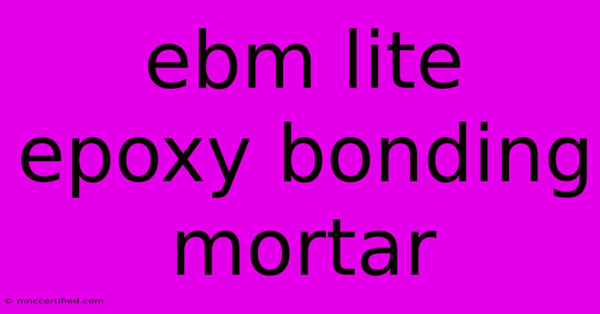 Ebm Lite Epoxy Bonding Mortar