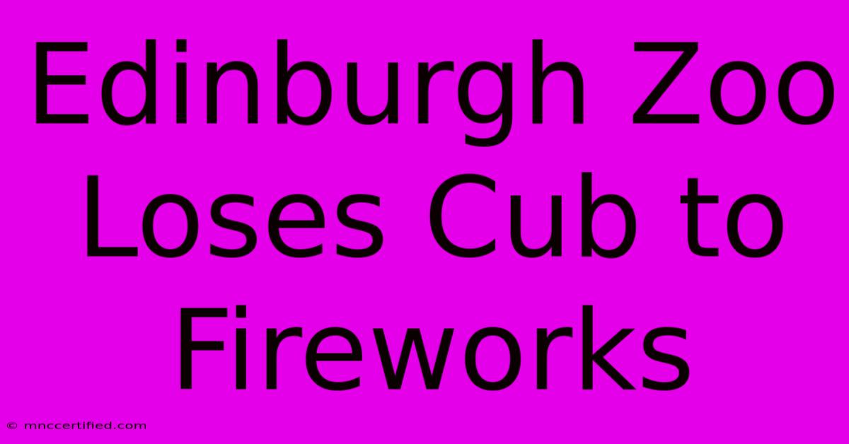 Edinburgh Zoo Loses Cub To Fireworks