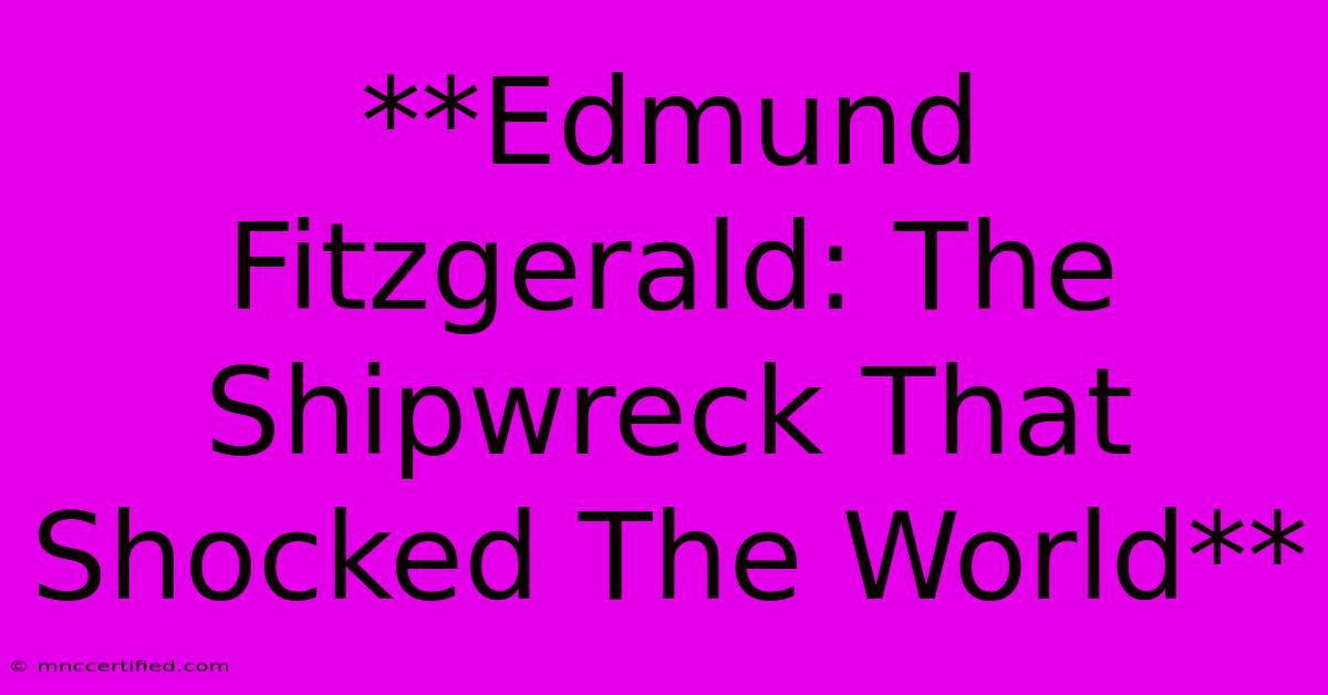 **Edmund Fitzgerald: The Shipwreck That Shocked The World** 