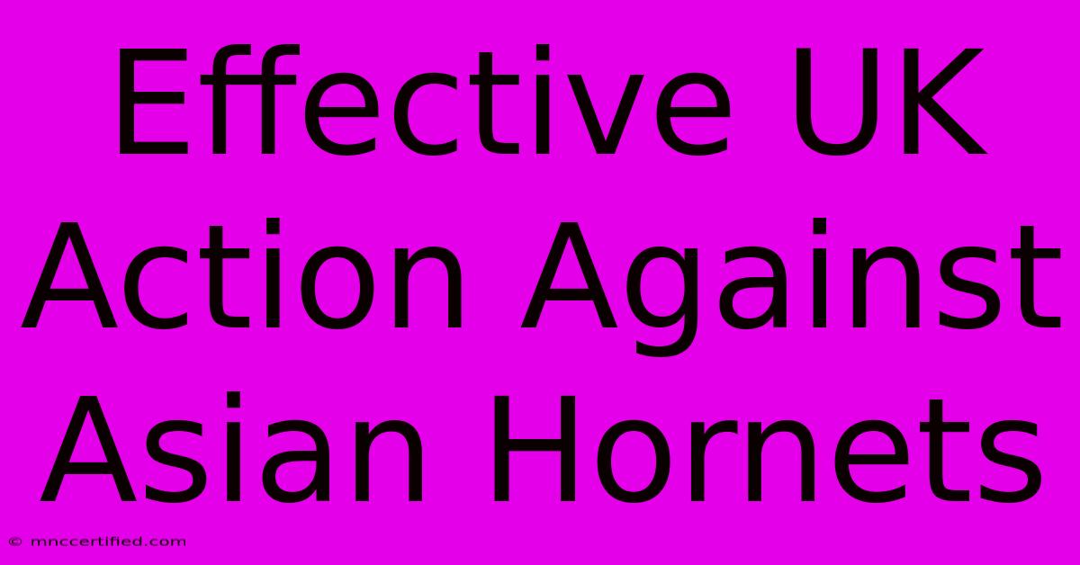 Effective UK Action Against Asian Hornets