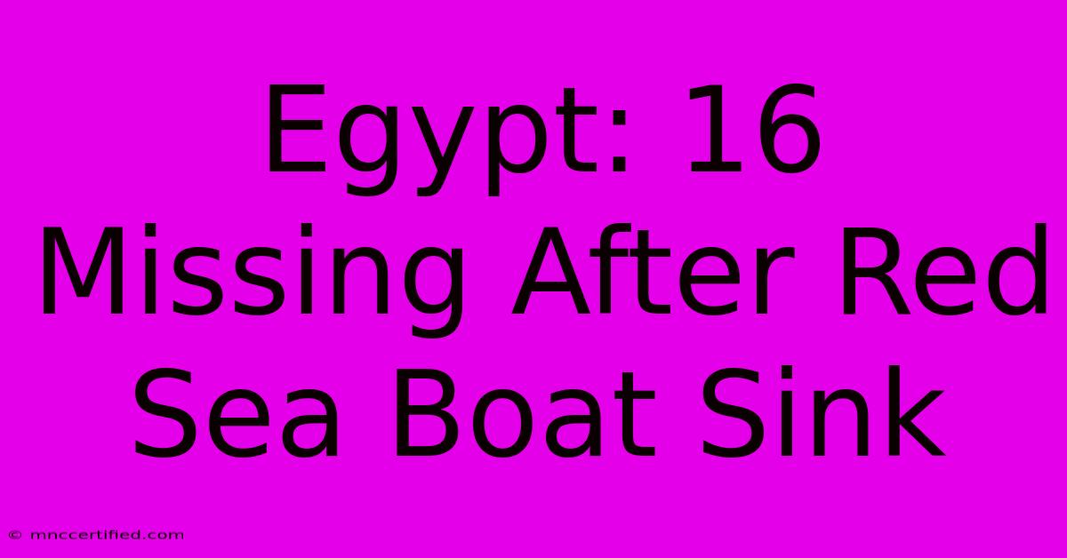 Egypt: 16 Missing After Red Sea Boat Sink