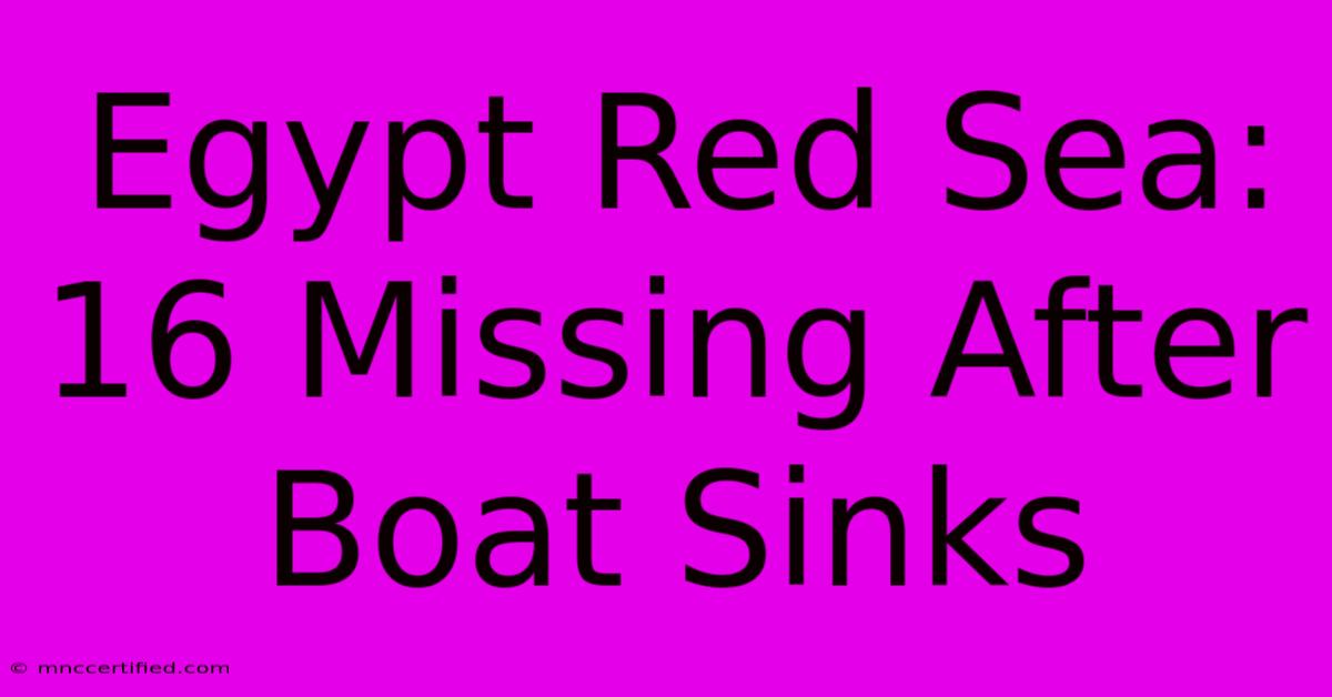 Egypt Red Sea: 16 Missing After Boat Sinks