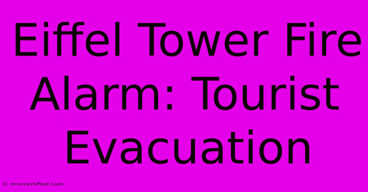 Eiffel Tower Fire Alarm: Tourist Evacuation