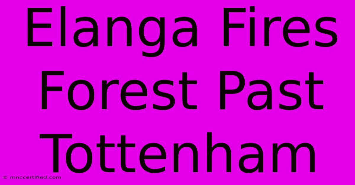 Elanga Fires Forest Past Tottenham