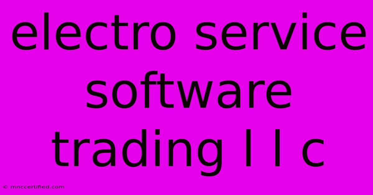 Electro Service Software Trading L L C