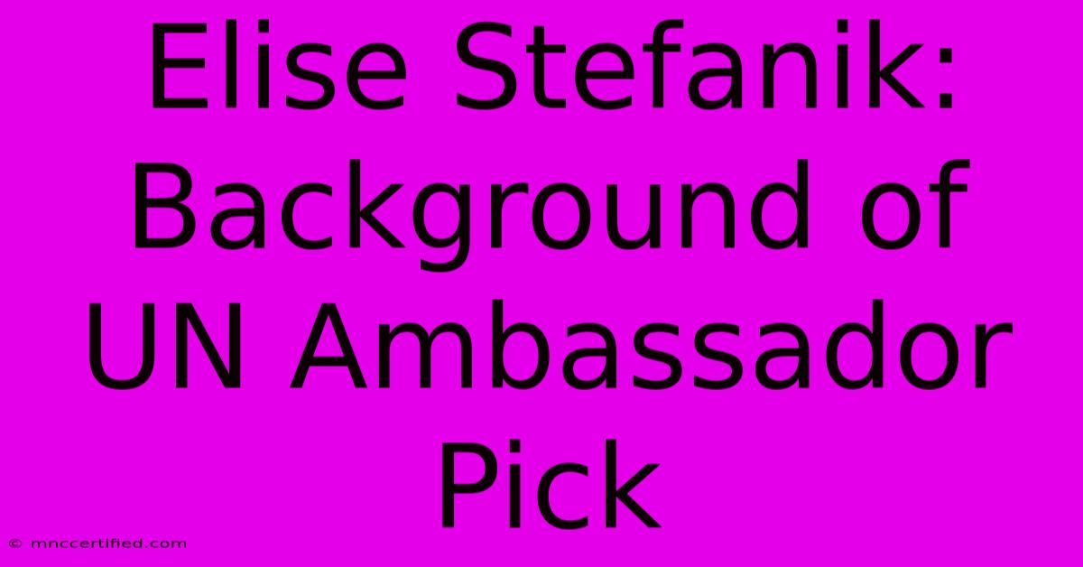 Elise Stefanik: Background Of UN Ambassador Pick