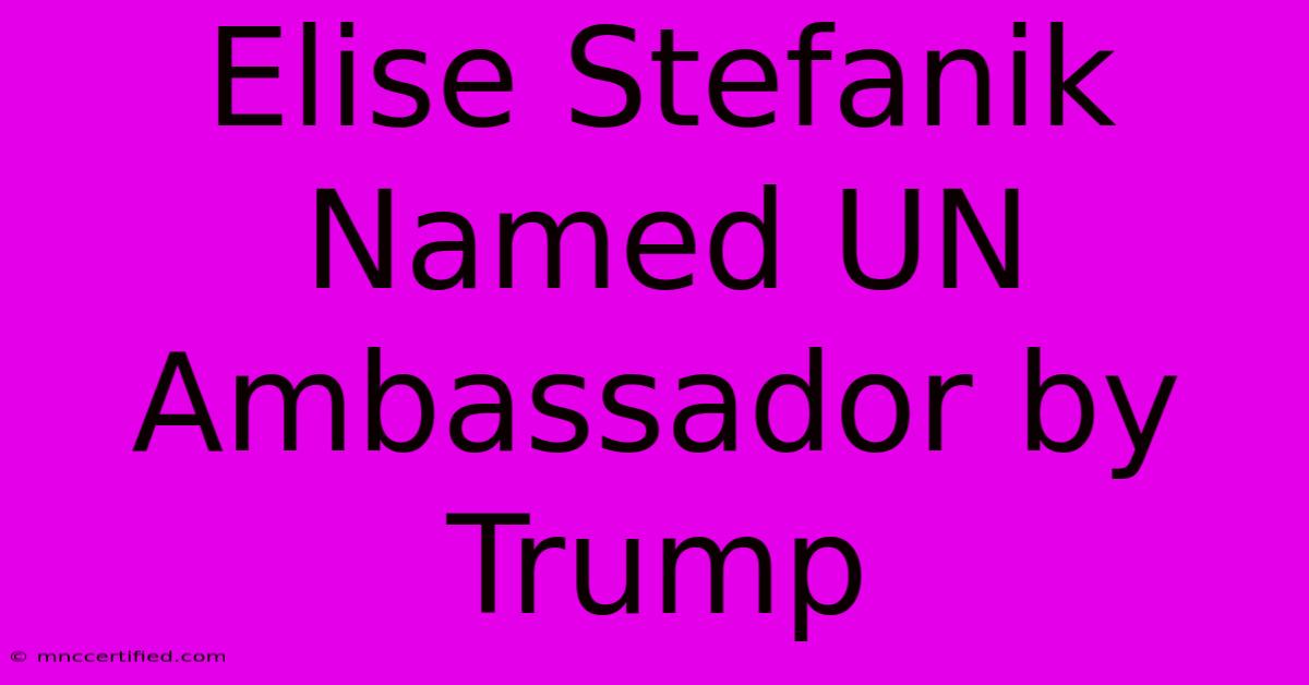 Elise Stefanik Named UN Ambassador By Trump