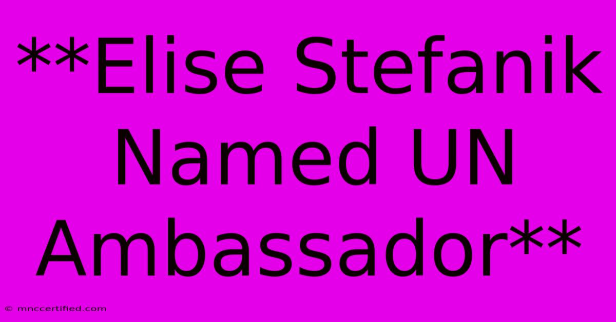 **Elise Stefanik Named UN Ambassador**