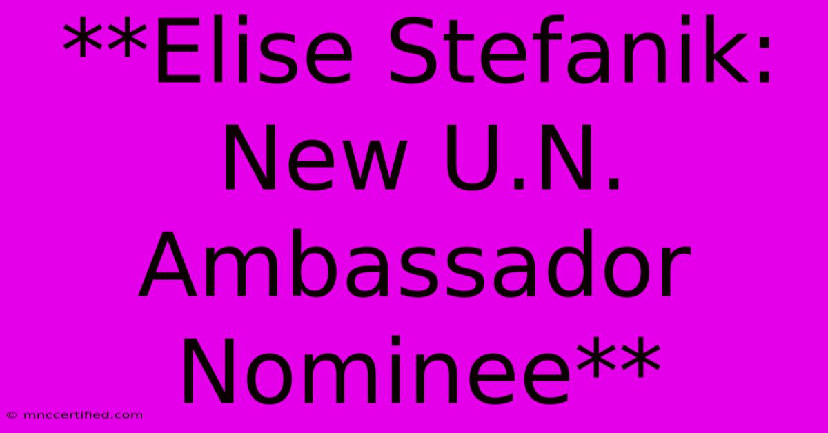 **Elise Stefanik: New U.N. Ambassador Nominee**