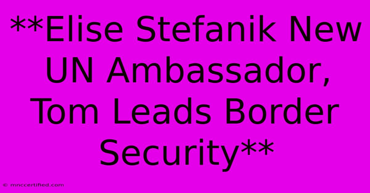 **Elise Stefanik New UN Ambassador, Tom Leads Border Security**