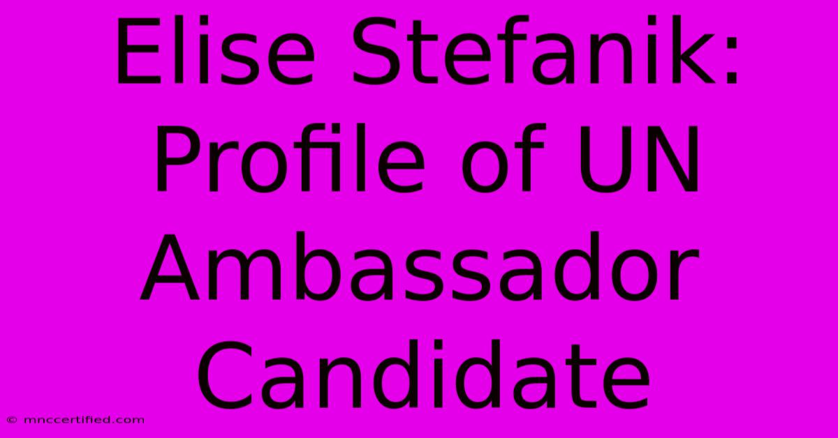 Elise Stefanik: Profile Of UN Ambassador Candidate 