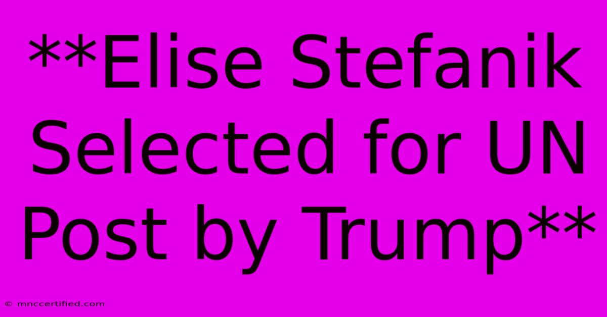 **Elise Stefanik Selected For UN Post By Trump**