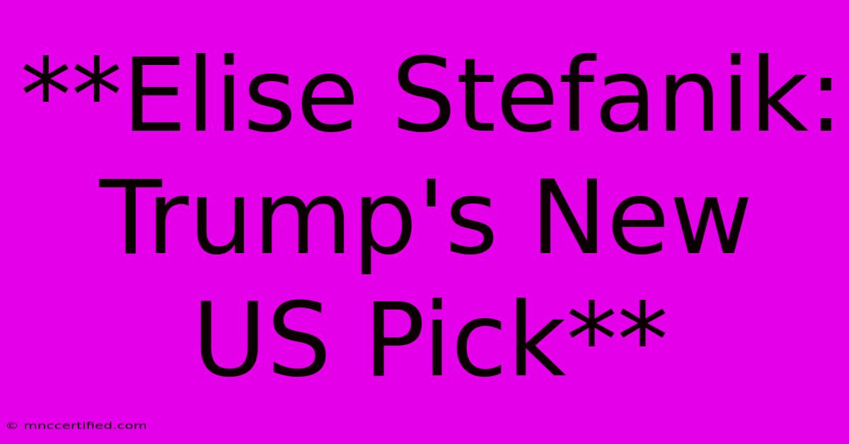 **Elise Stefanik: Trump's New US Pick**