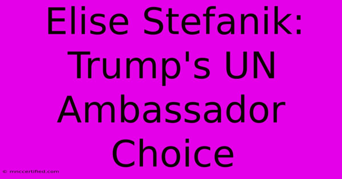 Elise Stefanik: Trump's UN Ambassador Choice