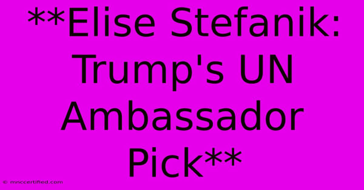 **Elise Stefanik: Trump's UN Ambassador Pick**