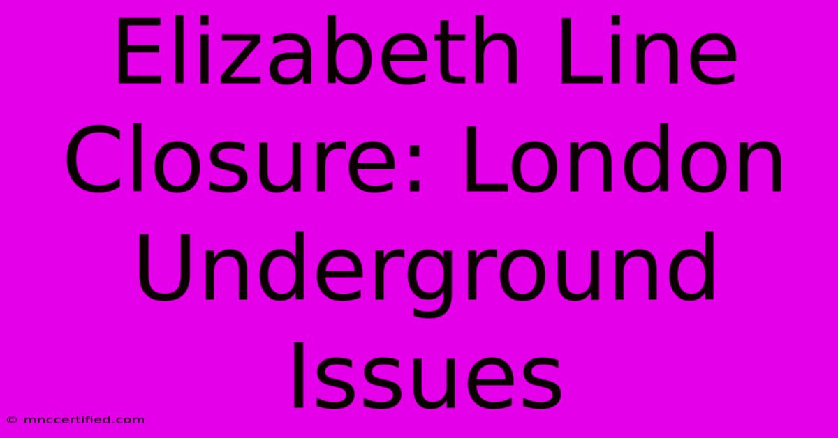 Elizabeth Line Closure: London Underground Issues