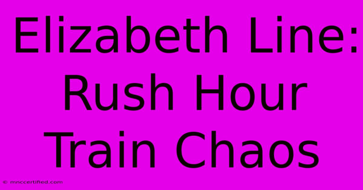 Elizabeth Line: Rush Hour Train Chaos