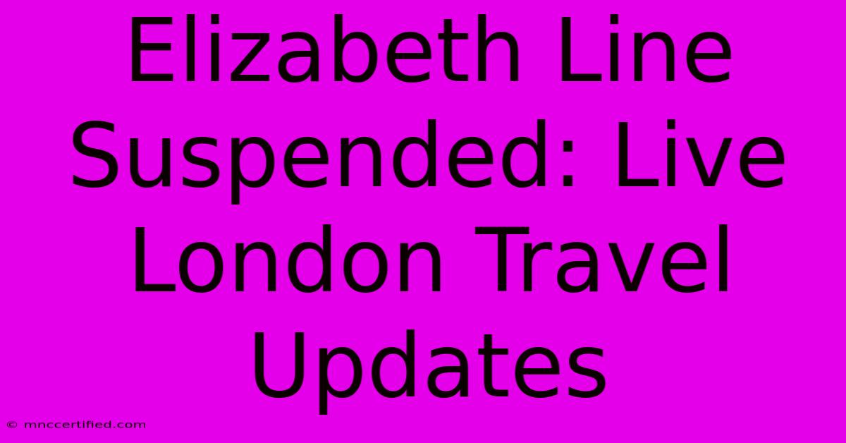 Elizabeth Line Suspended: Live London Travel Updates