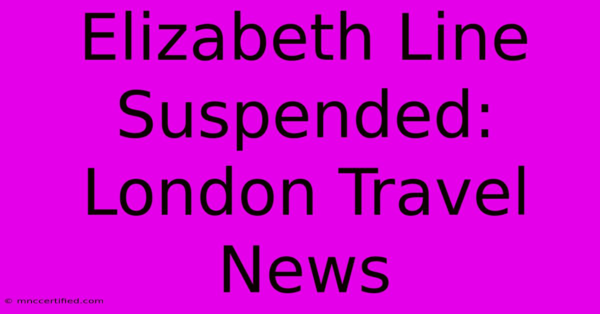 Elizabeth Line Suspended: London Travel News