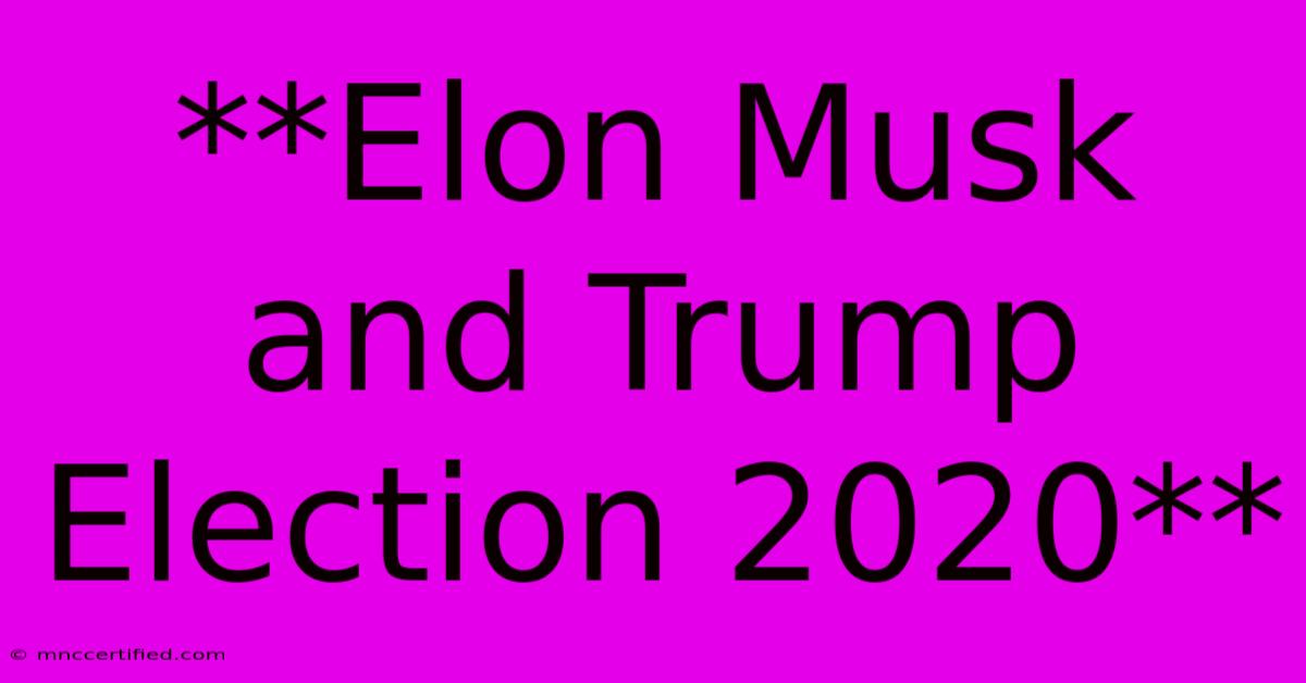 **Elon Musk And Trump Election 2020**