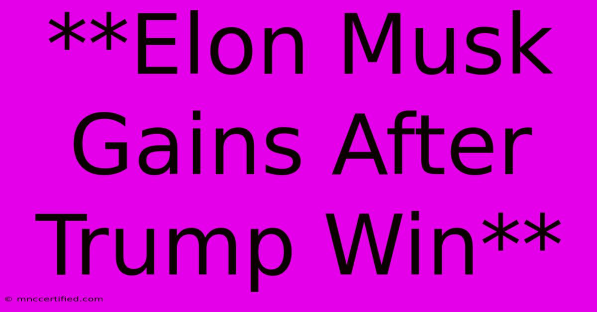 **Elon Musk Gains After Trump Win**