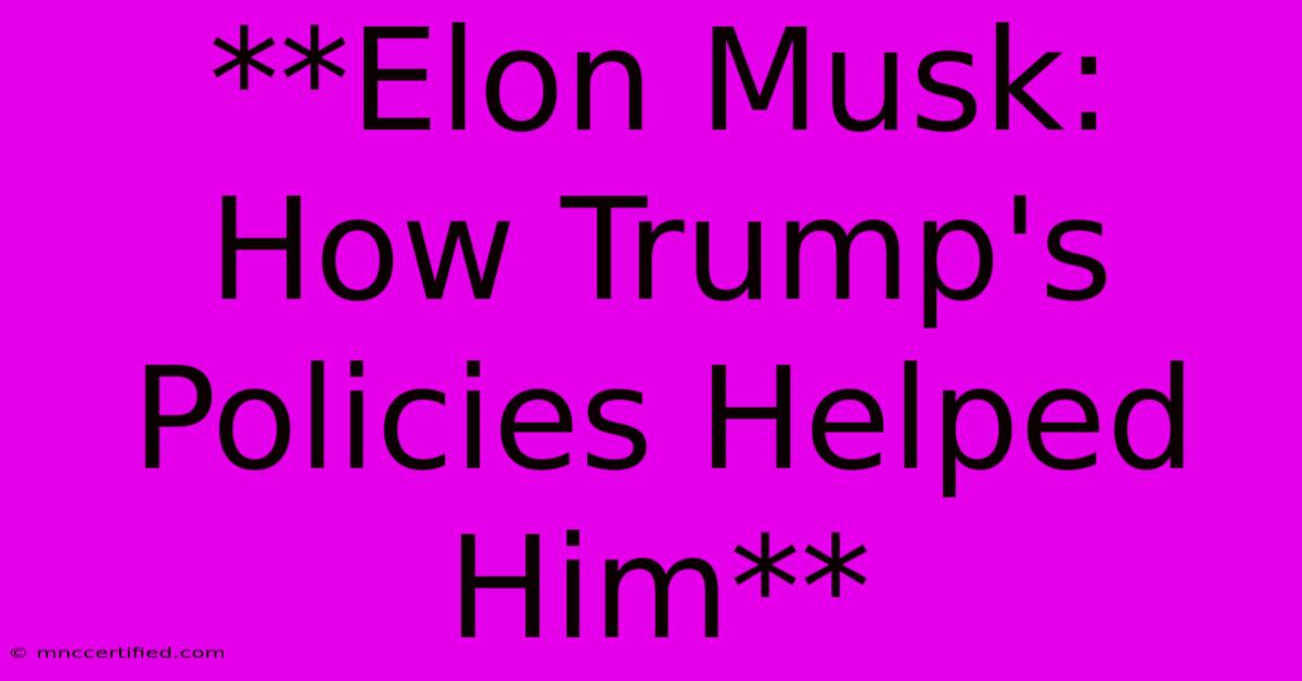 **Elon Musk:  How Trump's Policies Helped Him** 