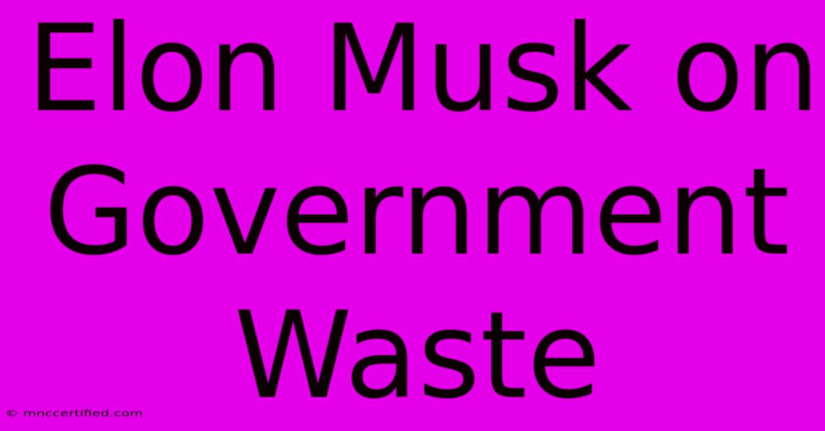 Elon Musk On Government Waste