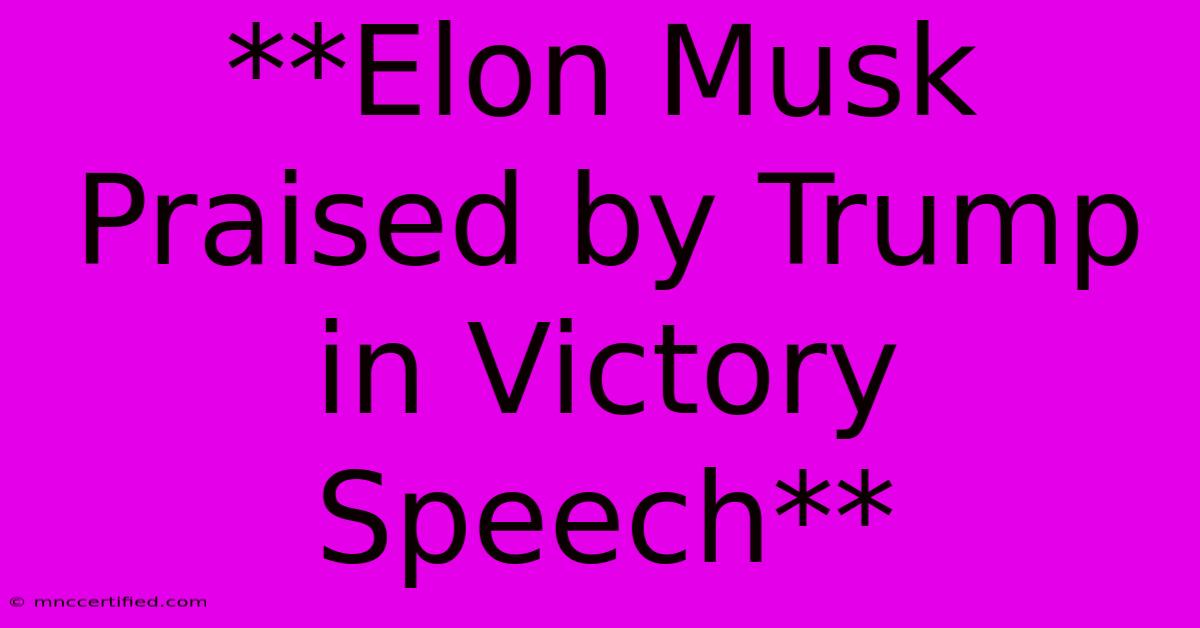 **Elon Musk Praised By Trump In Victory Speech**