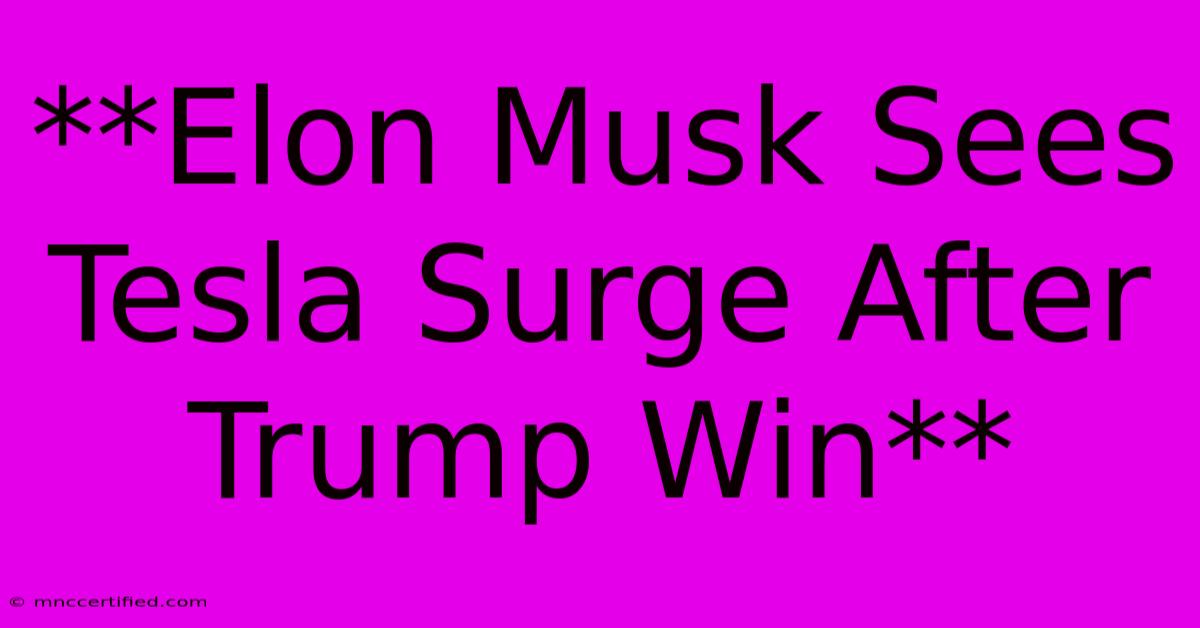 **Elon Musk Sees Tesla Surge After Trump Win**