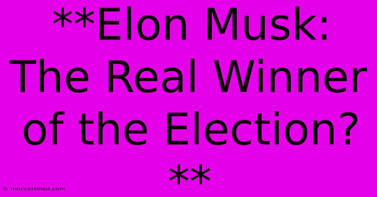 **Elon Musk: The Real Winner Of The Election?**