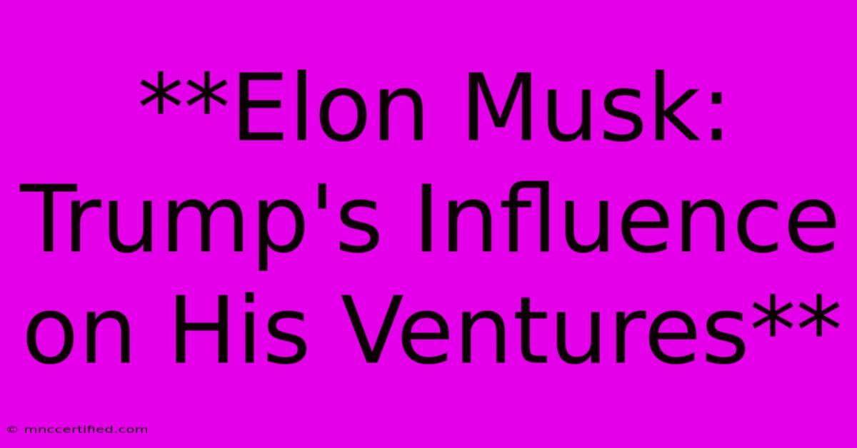 **Elon Musk:  Trump's Influence On His Ventures**