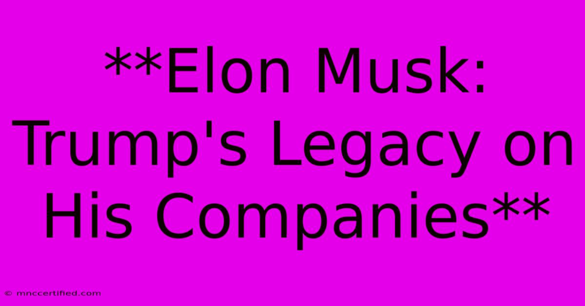 **Elon Musk:  Trump's Legacy On His Companies**