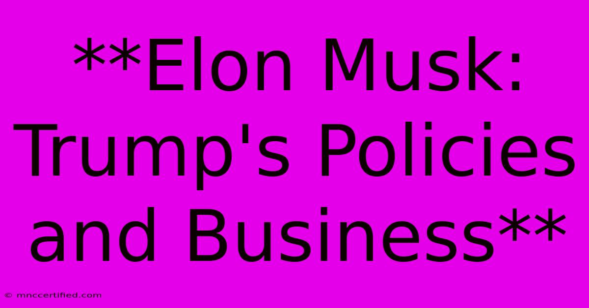 **Elon Musk: Trump's Policies And Business**