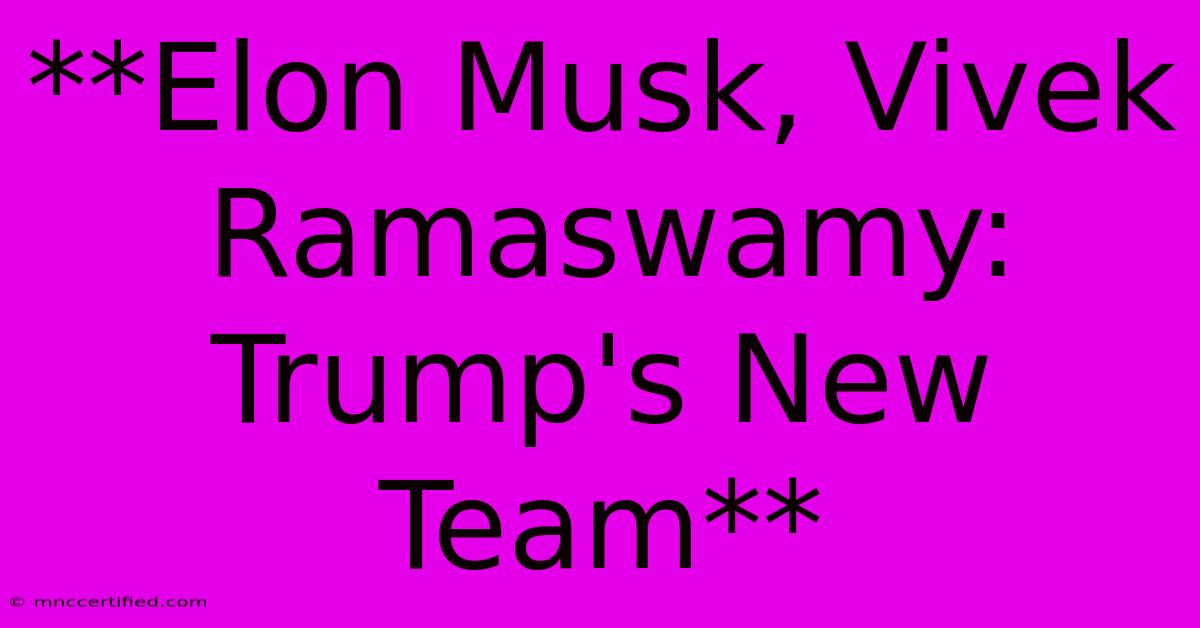 **Elon Musk, Vivek Ramaswamy: Trump's New Team**