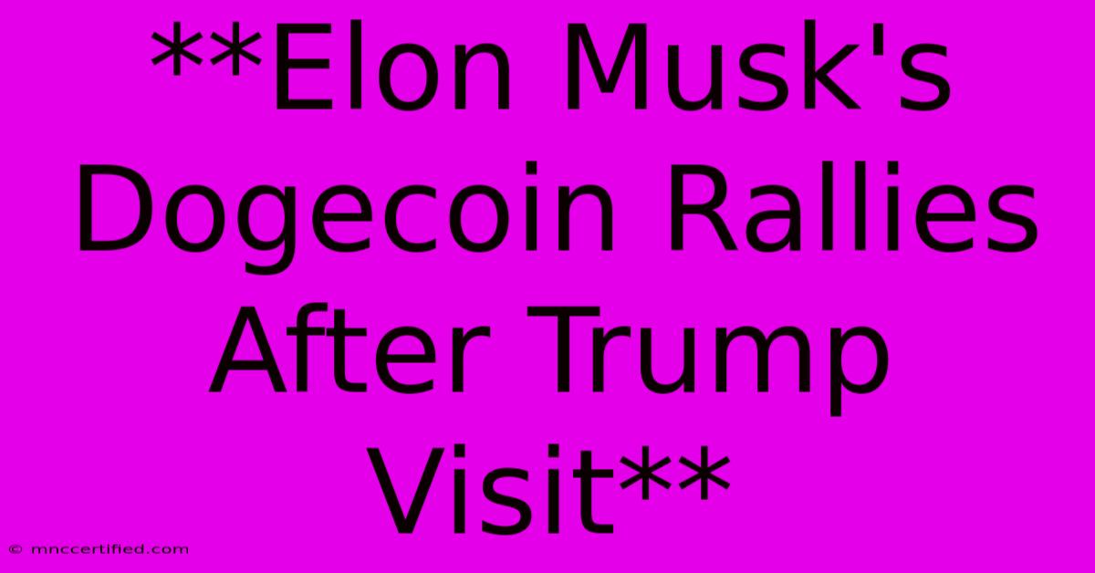 **Elon Musk's Dogecoin Rallies After Trump Visit**