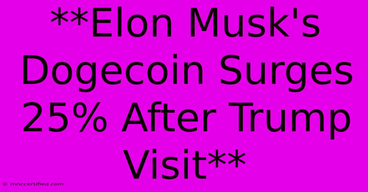 **Elon Musk's Dogecoin Surges 25% After Trump Visit**