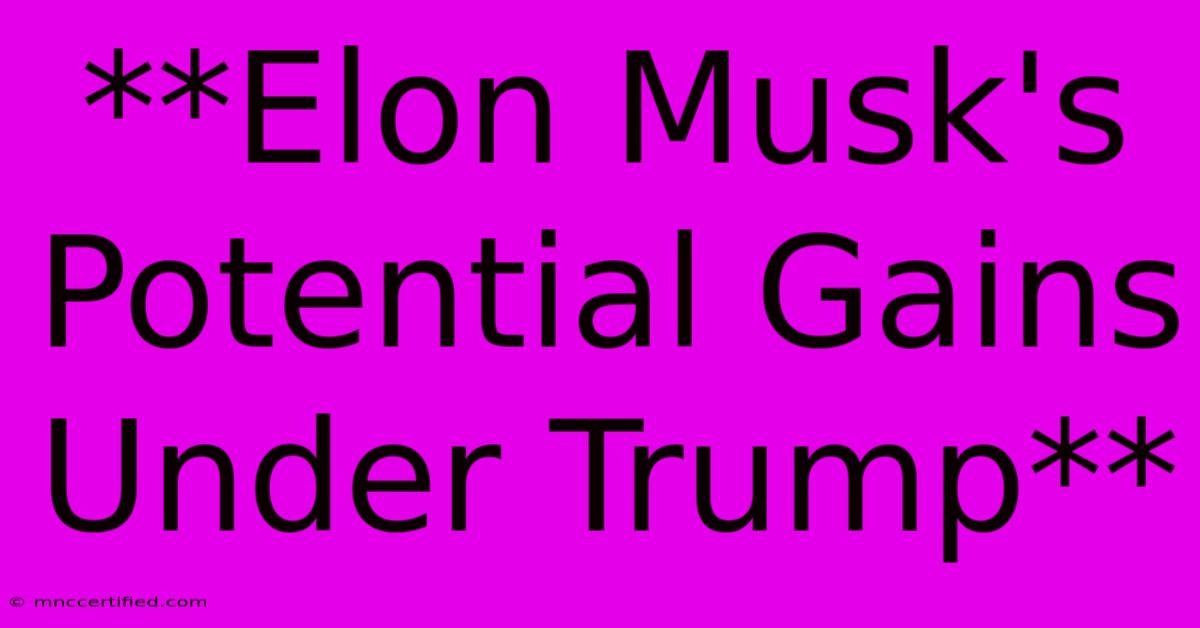 **Elon Musk's Potential Gains Under Trump**