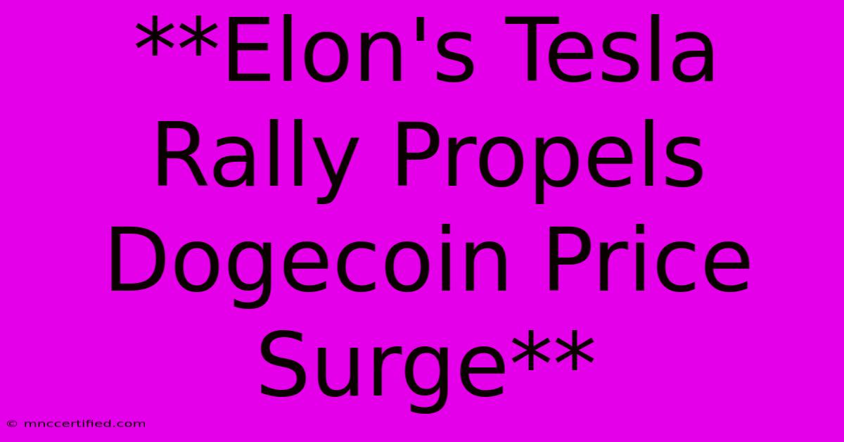 **Elon's Tesla Rally Propels Dogecoin Price Surge**