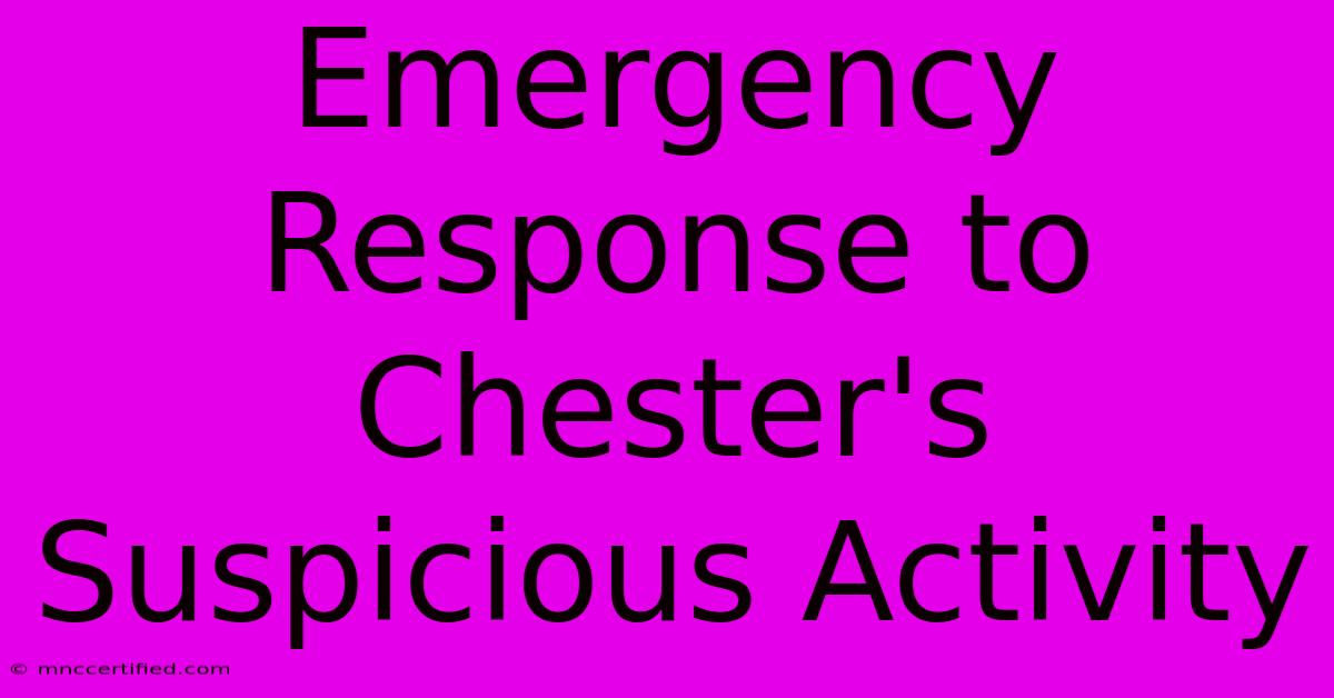 Emergency Response To Chester's Suspicious Activity