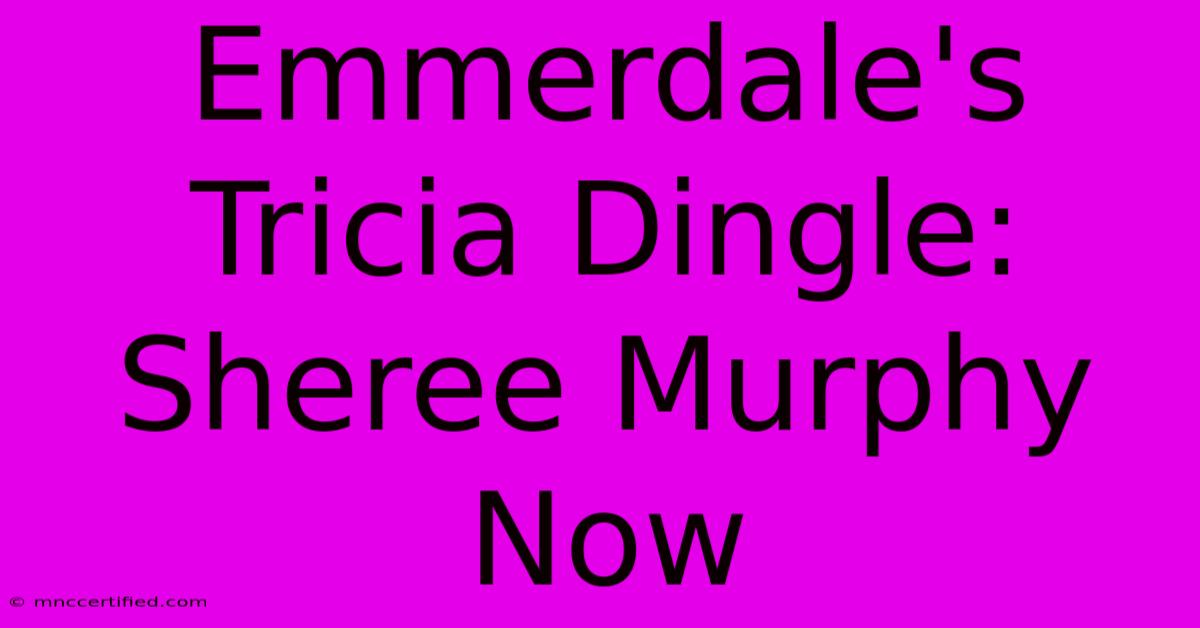 Emmerdale's Tricia Dingle: Sheree Murphy Now