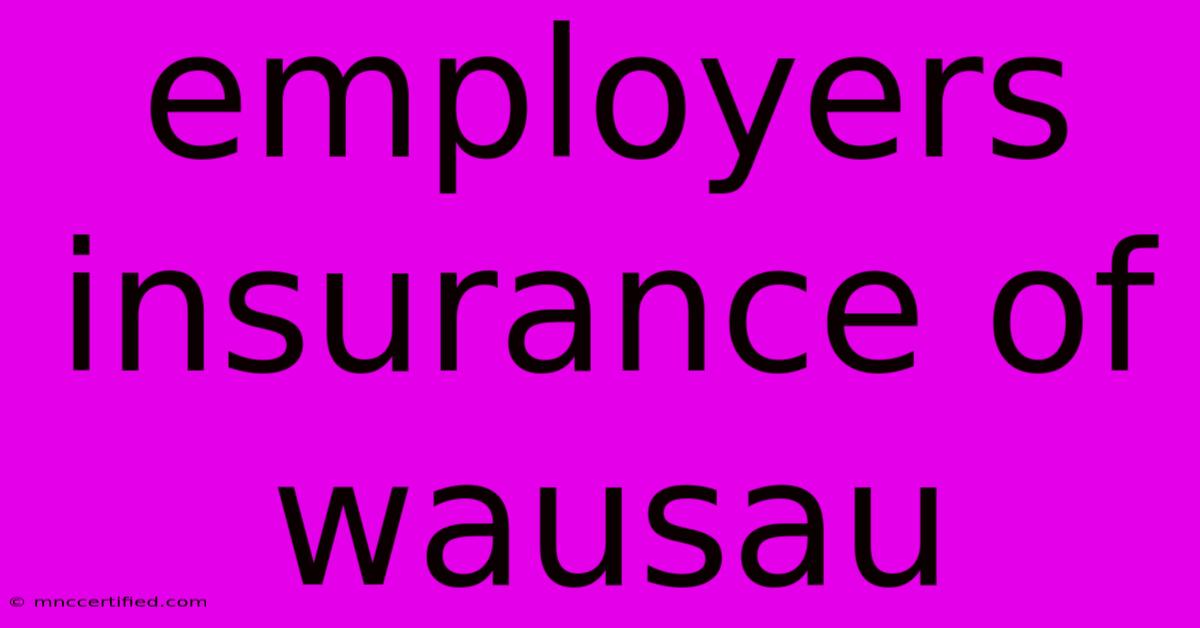 Employers Insurance Of Wausau