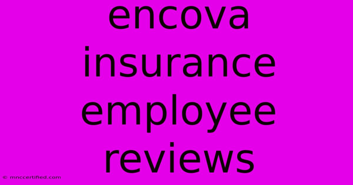 Encova Insurance Employee Reviews