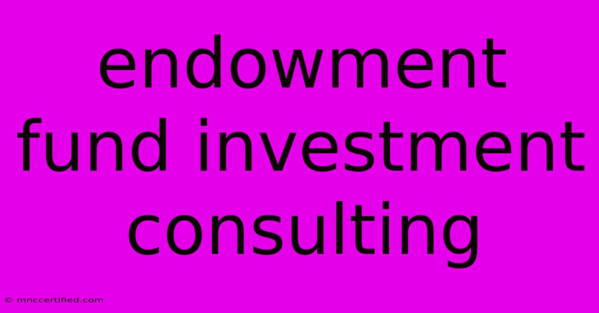 Endowment Fund Investment Consulting