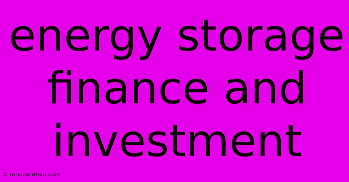 Energy Storage Finance And Investment