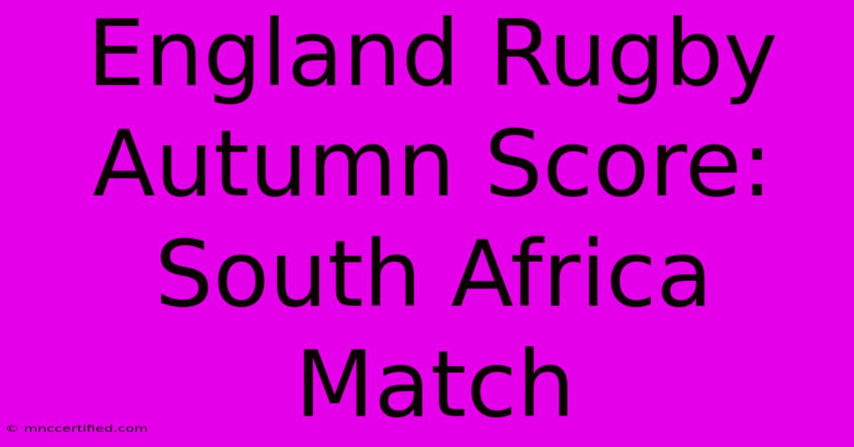 England Rugby Autumn Score: South Africa Match