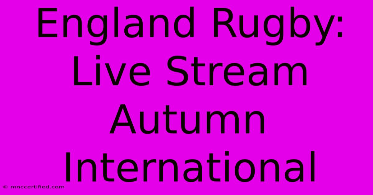 England Rugby: Live Stream Autumn International