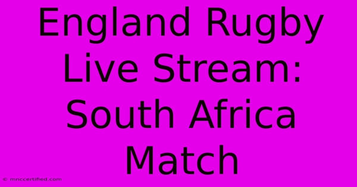 England Rugby Live Stream: South Africa Match