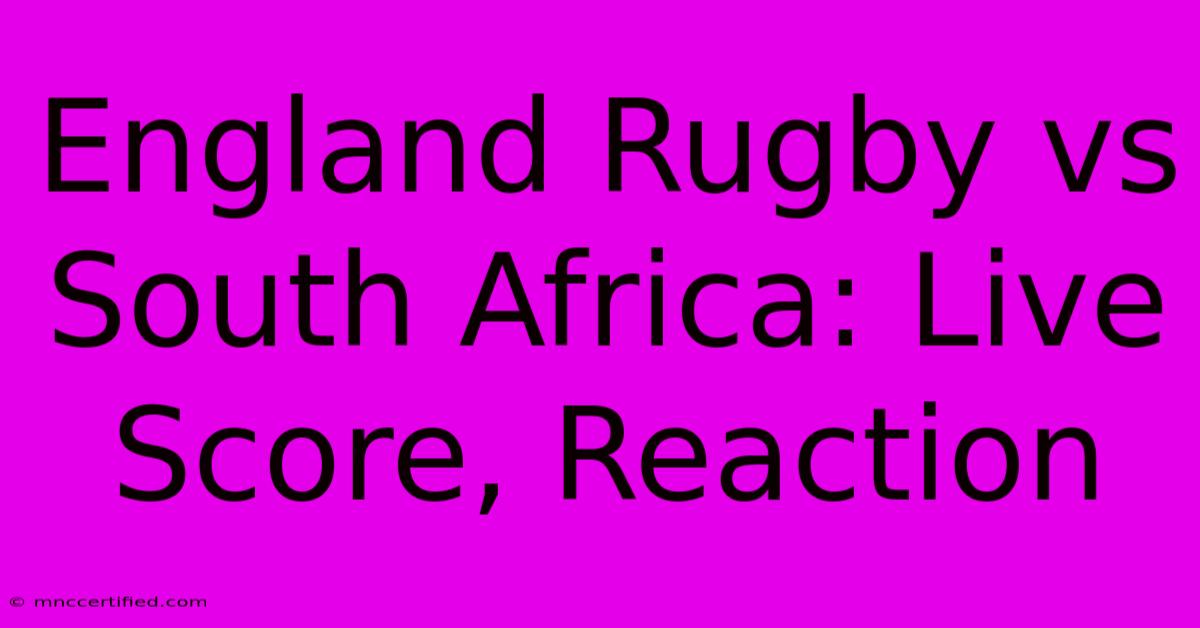 England Rugby Vs South Africa: Live Score, Reaction