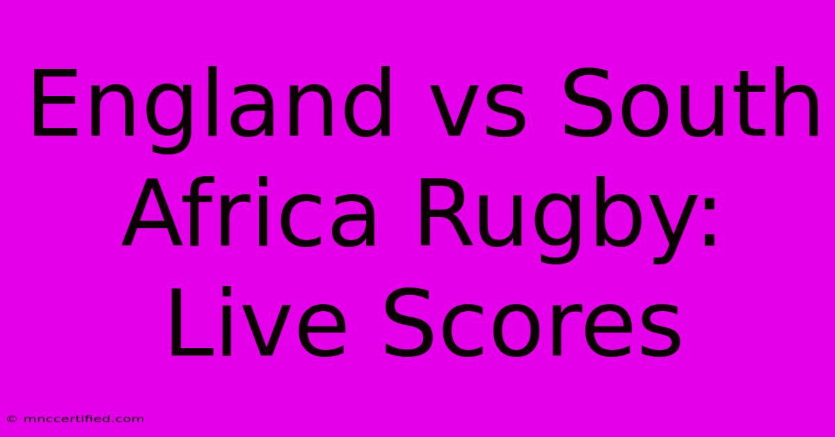 England Vs South Africa Rugby: Live Scores