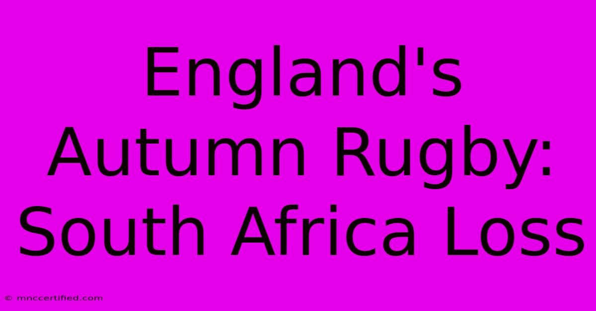 England's Autumn Rugby: South Africa Loss